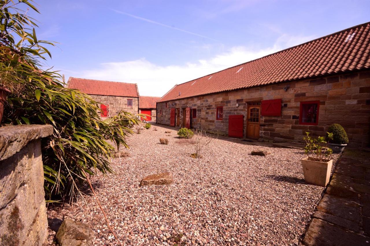 Sebright Cottage, Borrowby Farm Cottages Staithes Extérieur photo