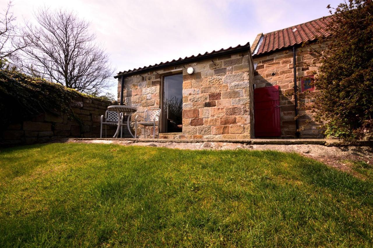 Sebright Cottage, Borrowby Farm Cottages Staithes Extérieur photo