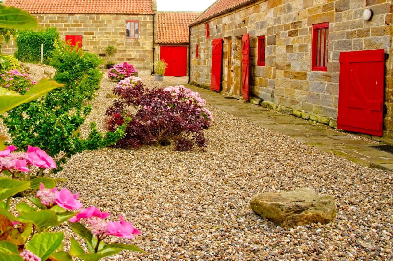 Sebright Cottage, Borrowby Farm Cottages Staithes Extérieur photo